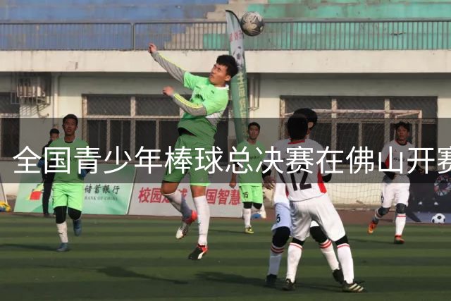全国青少年棒球总决赛在佛山开赛 近800名小将角逐桂冠